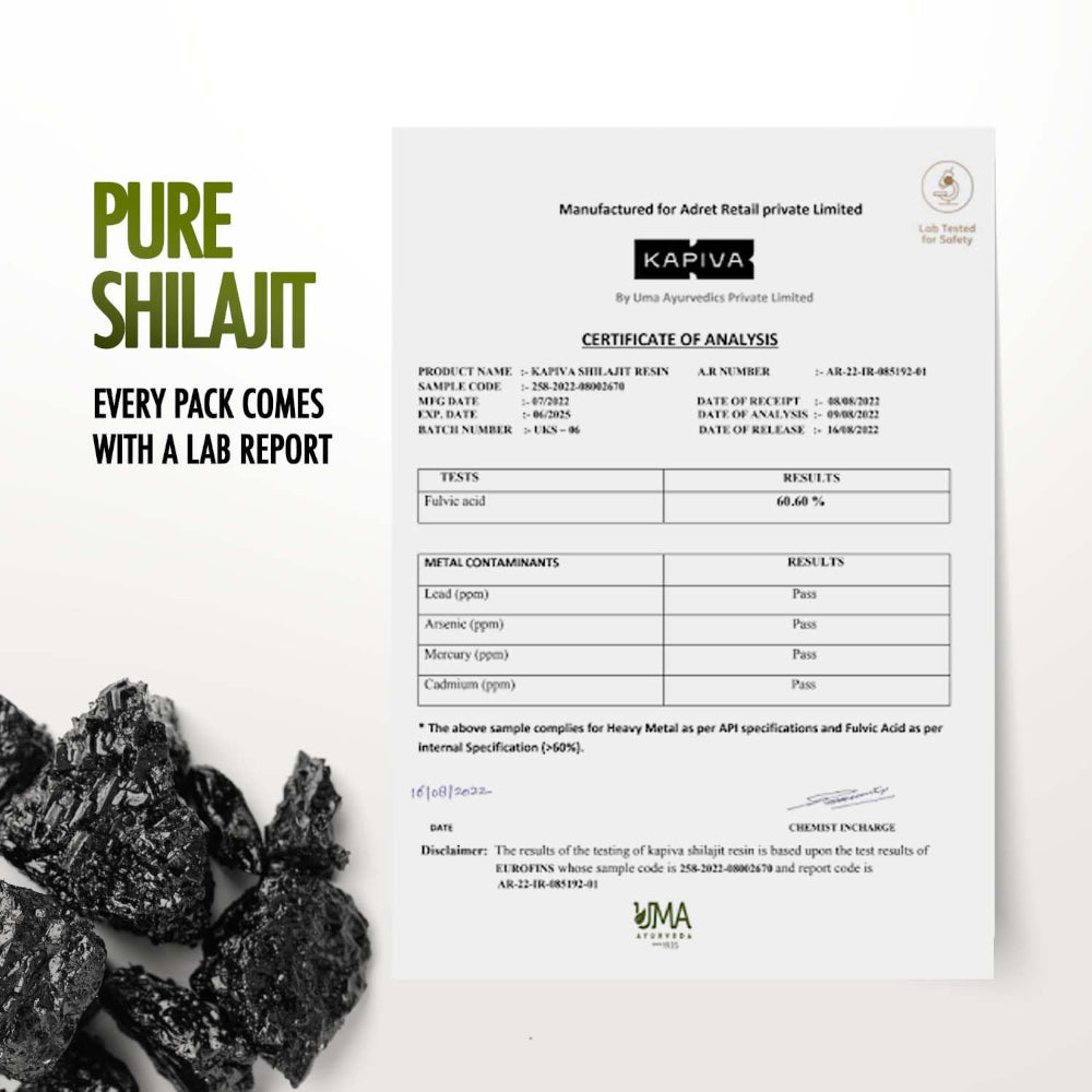 Kapiva Himalayan Shilajit Resin 20g